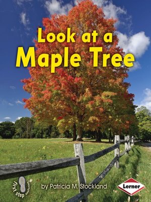 cover image of Look at a Maple Tree